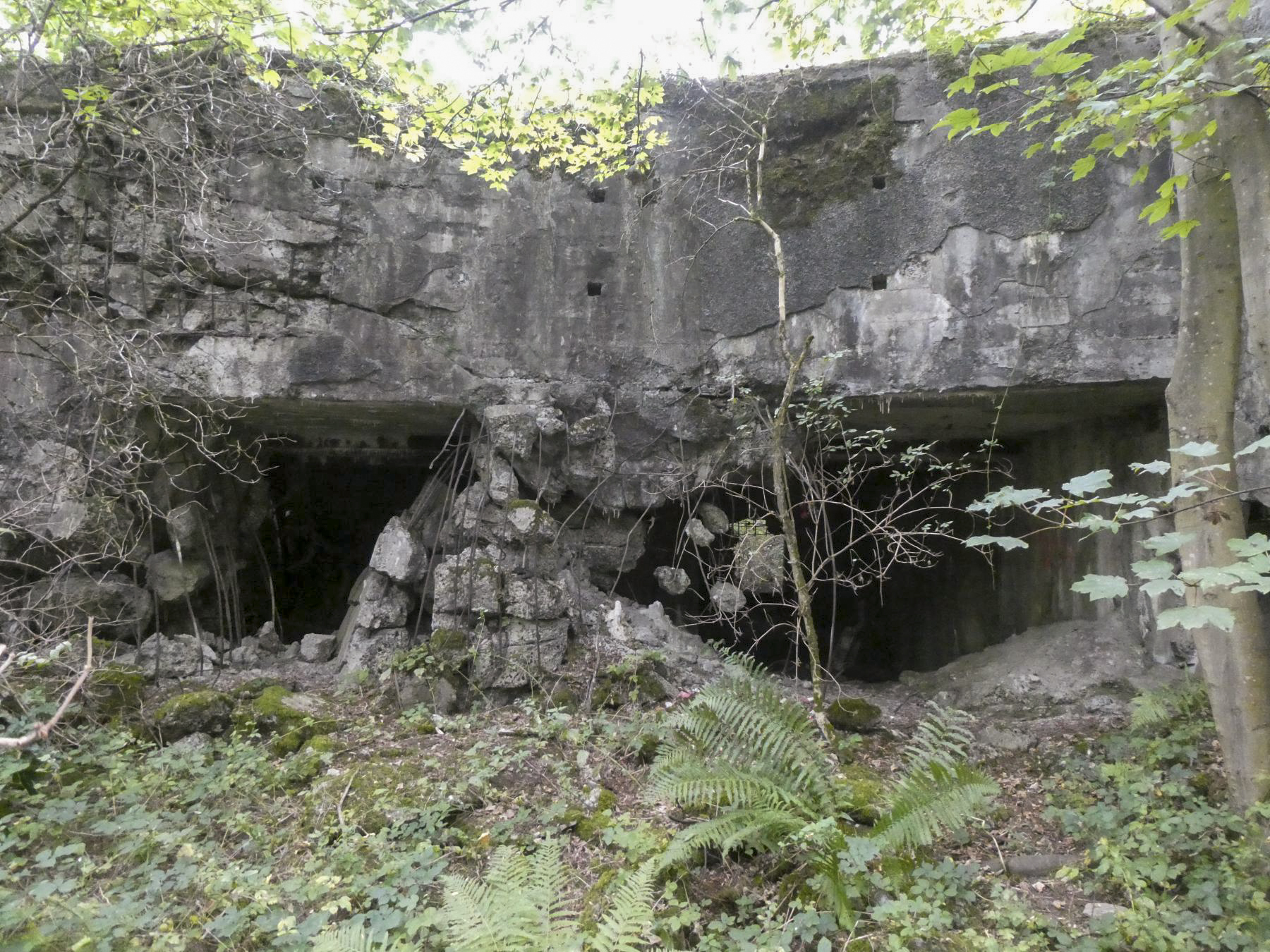 Ligne Maginot - A18 - FORT DE MAULDE OUEST - (Casemate d'artillerie) - Les deux entrées pour canons