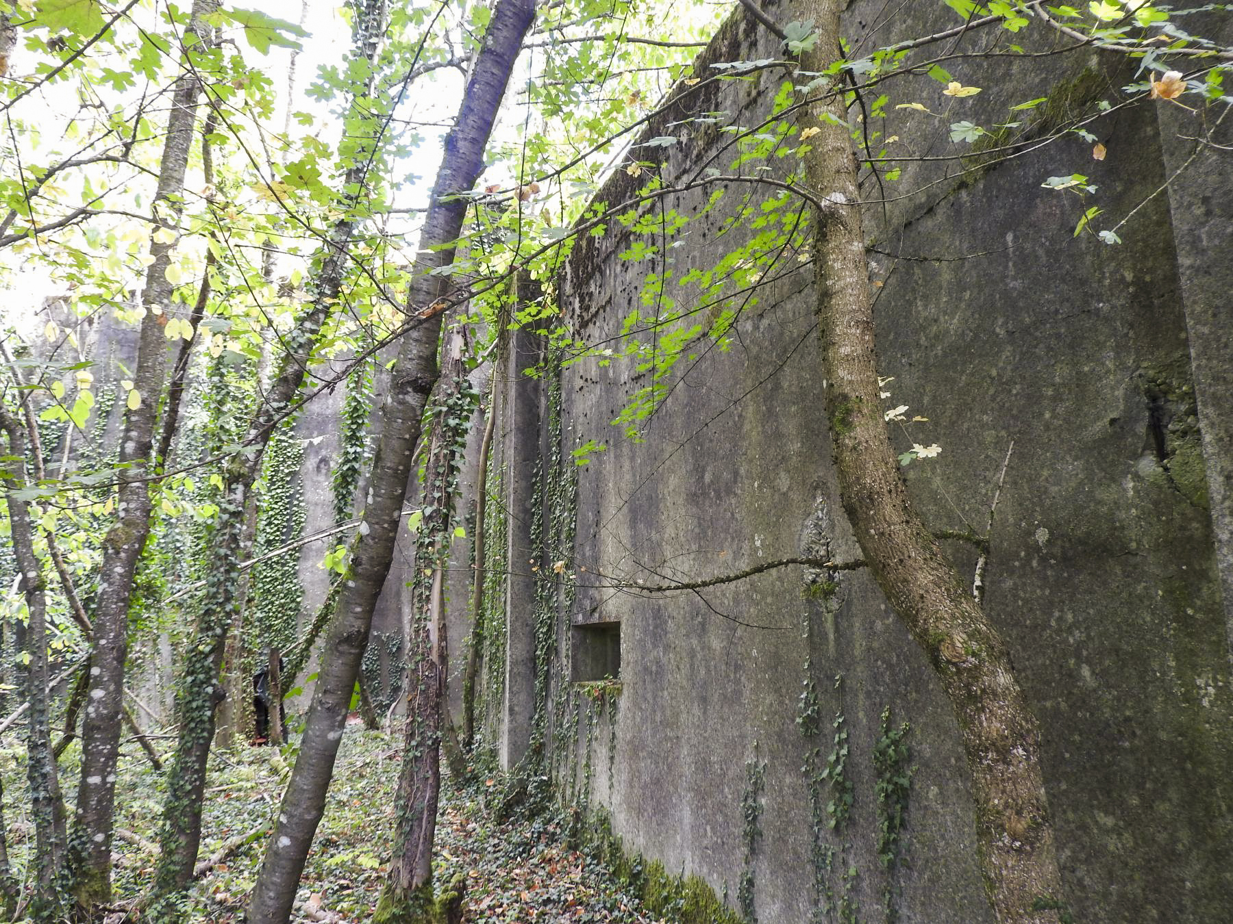 Ligne Maginot - LANGENSOULTZBACH - (Stand de tir) - Le mur d'aile gauche et son créneau