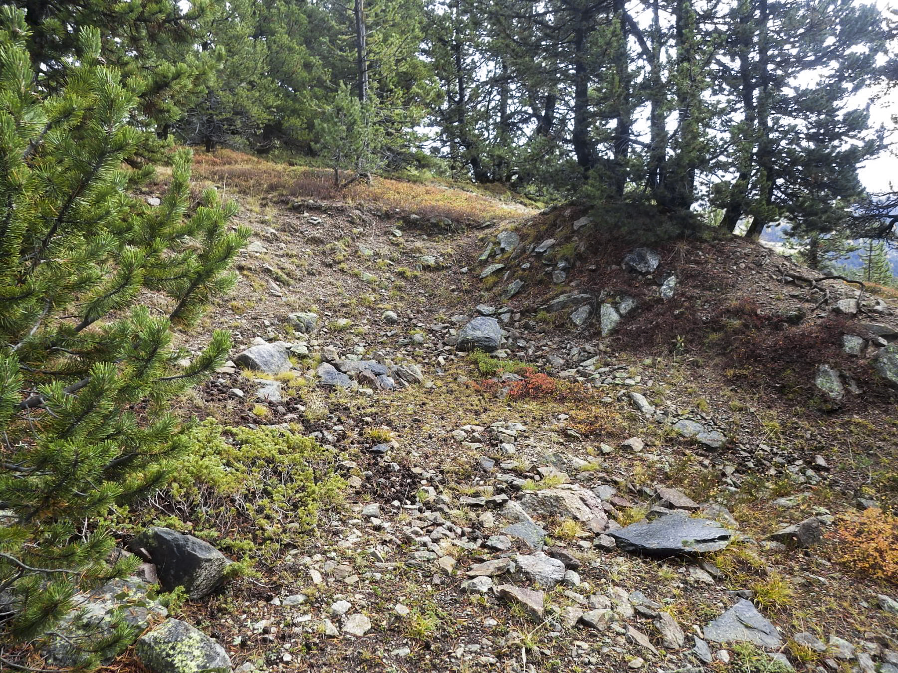 Ligne Maginot - COL DE GRANON (154° RAP - 8° BIE) - (Position d'artillerie préparée) - L'emplacement d'un 145 mm le plus à l'est 