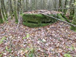 Ligne Maginot - UNTERE TRAUSCH CENTRE - (Observatoire d'infanterie) - 