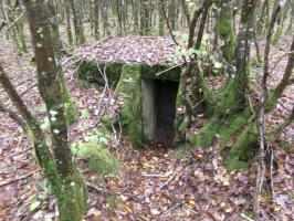 Ligne Maginot - UNTERE TRAUSCH CENTRE - (Observatoire d'infanterie) - L'entrée