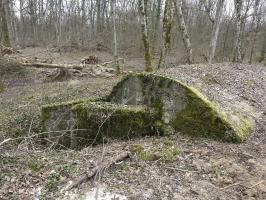 Ligne Maginot - ABRI GOEZERT - (Abri) - L'abri après des travaux forestiers.