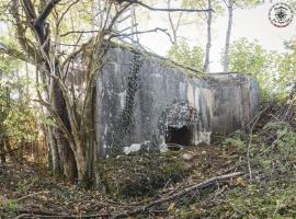 Ligne Maginot - DB208 - (Blockhaus pour canon) -  