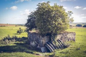 Ligne Maginot - DB246 - HAUT DE LA VIGNE - (Blockhaus pour arme infanterie) - 