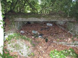 Ligne Maginot - BOIS DE CRUSNES 1 - (Blockhaus de type indéterminé) - L'ouvrage ne semble pas avoir été terminé et a presque disparu sous divers débris