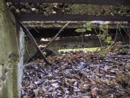 Ligne Maginot - BOIS DE CRUSNES 1 - (Blockhaus de type indéterminé) - Malgré tous les débris on distingue encore 2 créneaux