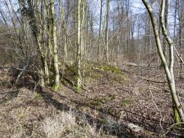 Ligne Maginot - Chambre de coupure 54T - 