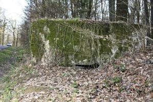 Ligne Maginot - BUSCHWIESE 1 - (Blockhaus pour arme infanterie) - 