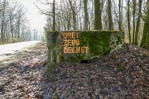 Ligne Maginot - BUSCHWIESE 1 - (Blockhaus pour arme infanterie) - 