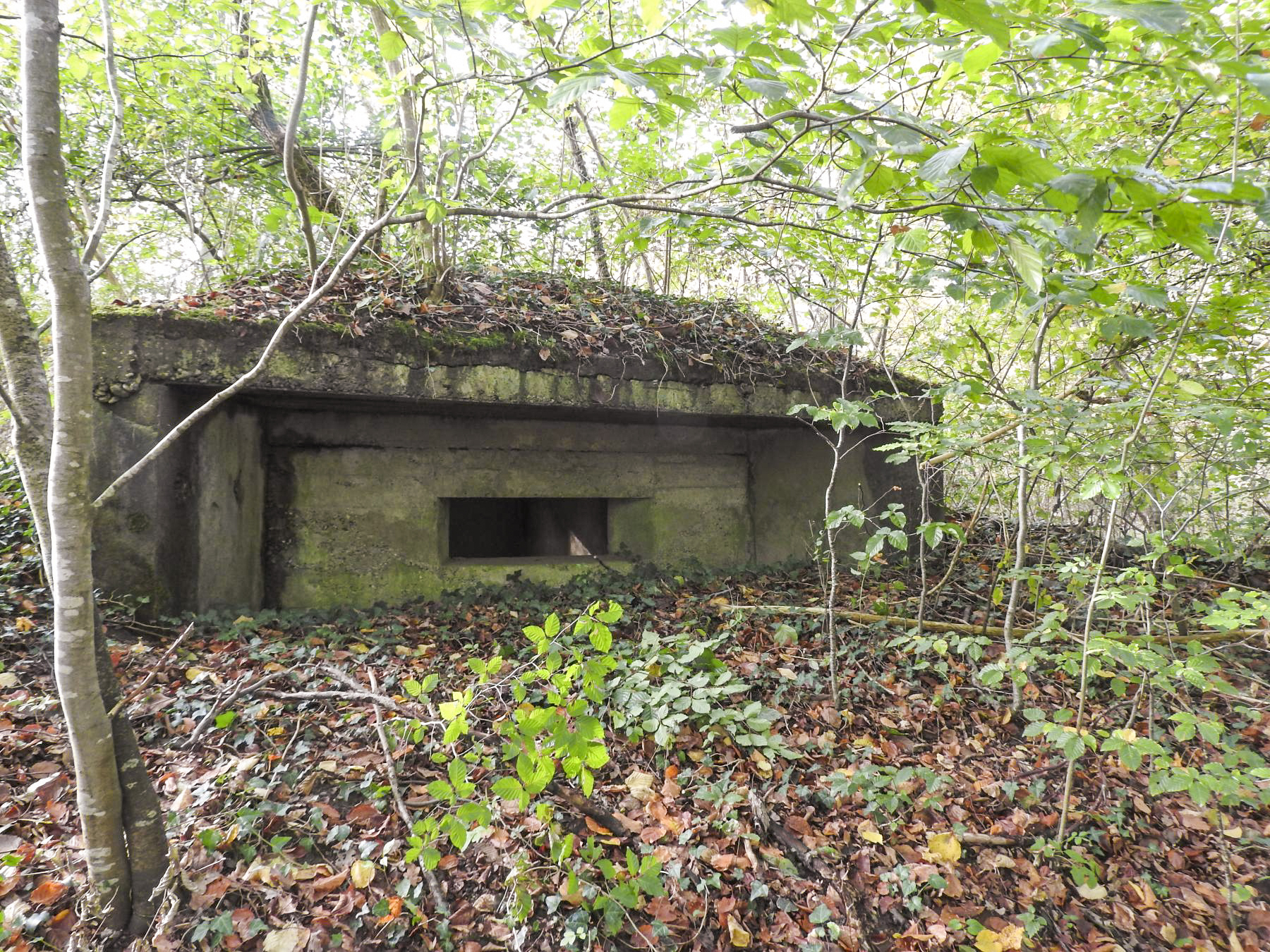 Ligne Maginot - FINNHAAG 1 - (Blockhaus pour canon) - La façade de tir.