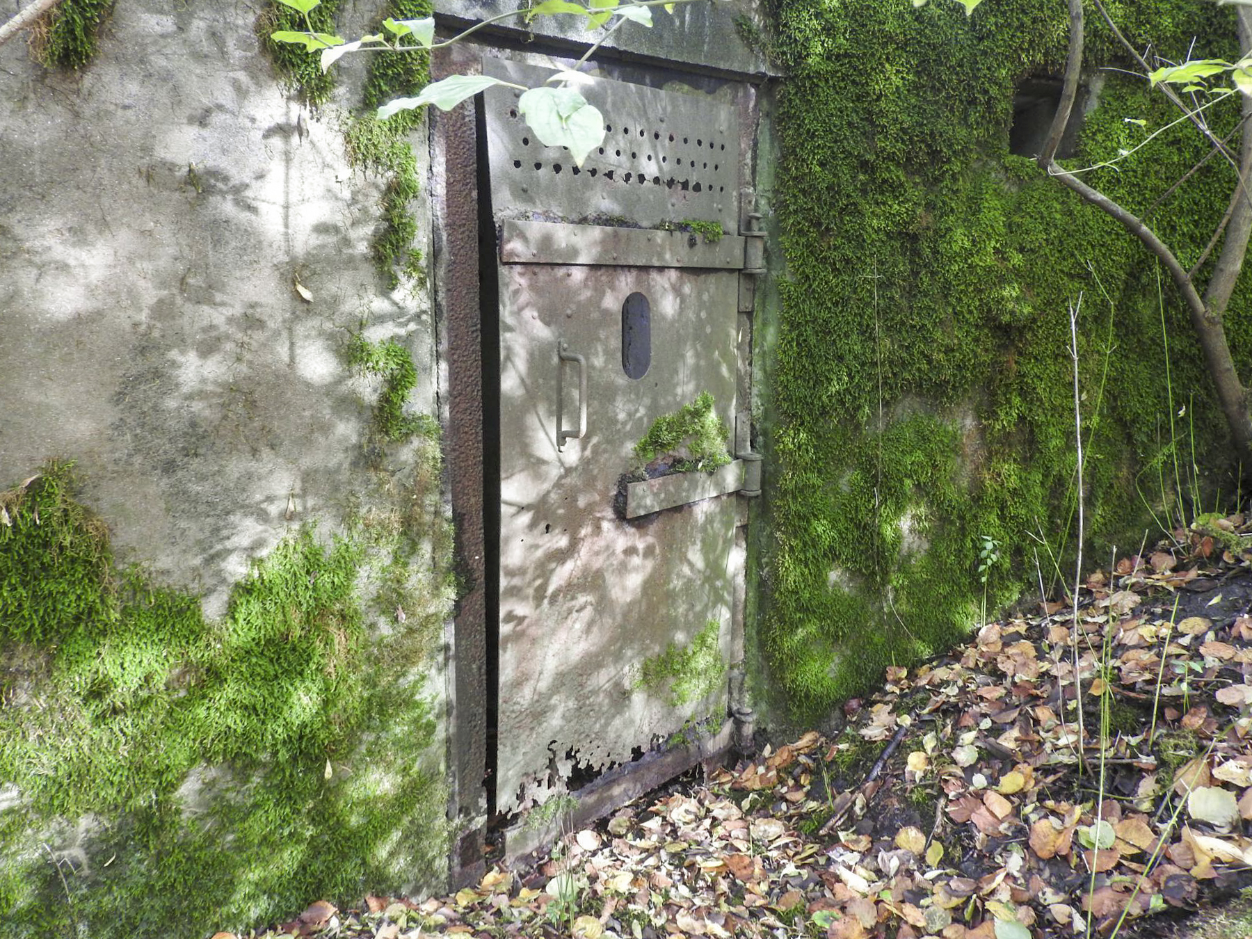 Ligne Maginot - FINNHAAG 2 - (Blockhaus pour arme infanterie) - L'entrée avec encore sa porte métallique.