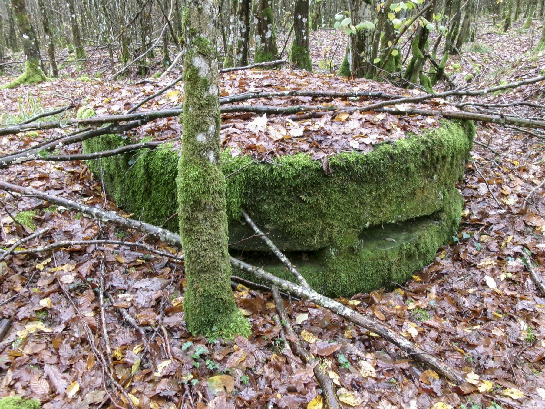 Ligne Maginot - UNTERE TRAUSCH CENTRE - (Observatoire d'infanterie) - 