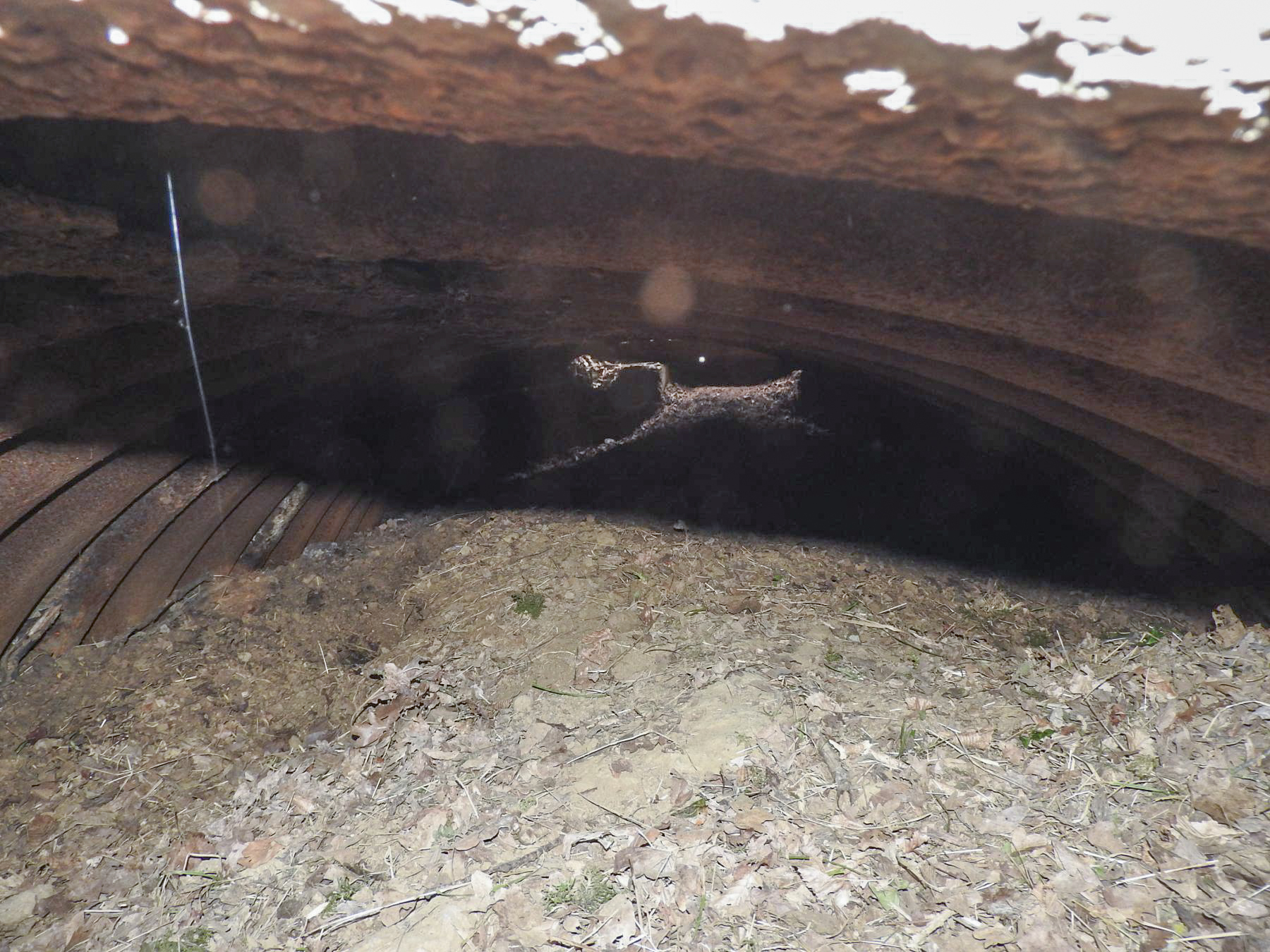 Ligne Maginot - GOEZERT - (Abri) - Une vue de l'intérieur par le trou qui devrais correspondre à l'entrée.