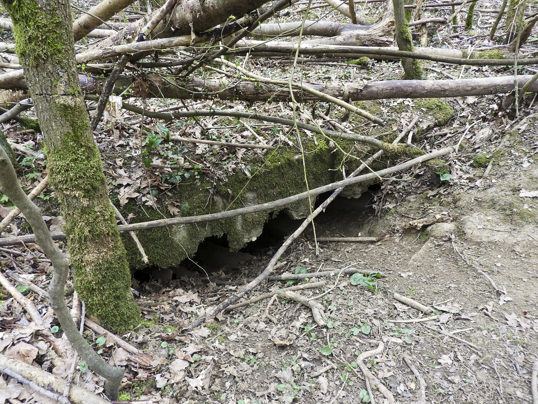 Ligne Maginot - BOIS DE LA GRANGE - (Abri) - Les vestiges d'un abri.