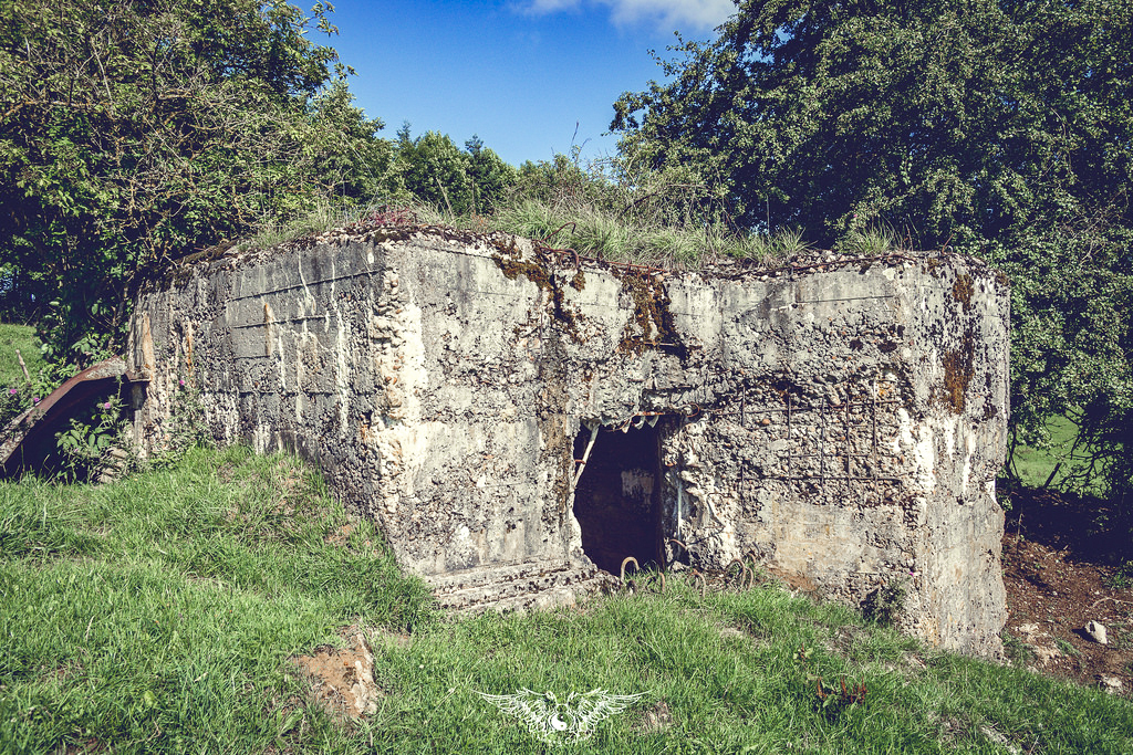 Ligne Maginot - DB246 - HAUT DE LA VIGNE - (Blockhaus pour arme infanterie) - 