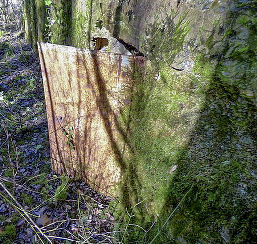 Ligne Maginot - DB265 - FOND FLOSSE - (Blockhaus pour canon) - La porte 