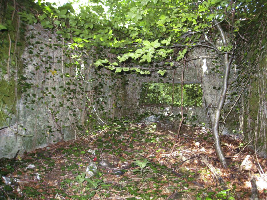 Ligne Maginot - BOIS DE CRUSNES 2 - (Blockhaus pour canon) - Cet emplacement comporte deux créneaux, un en direction de la D57 venant de Villerupt et l'autre en direction du lieu dit 'Beausejour'
Apparemment il n a pas été terminé