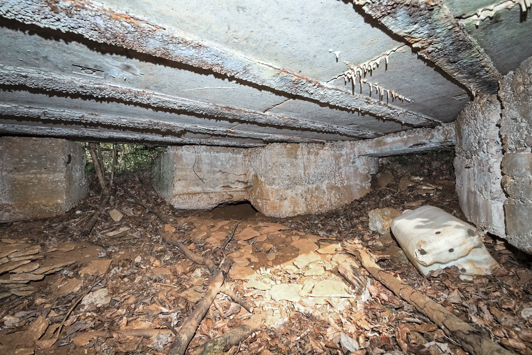 Ligne Maginot - BOIS DE CRUSNES 4 - (Blockhaus pour canon) - 