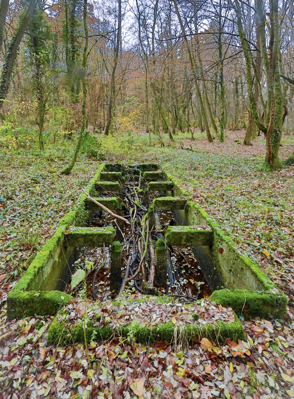 Ligne Maginot - OBERMODERN - DéPOT ARRIéRE - (Dépôt de Munitions) - Dépot 