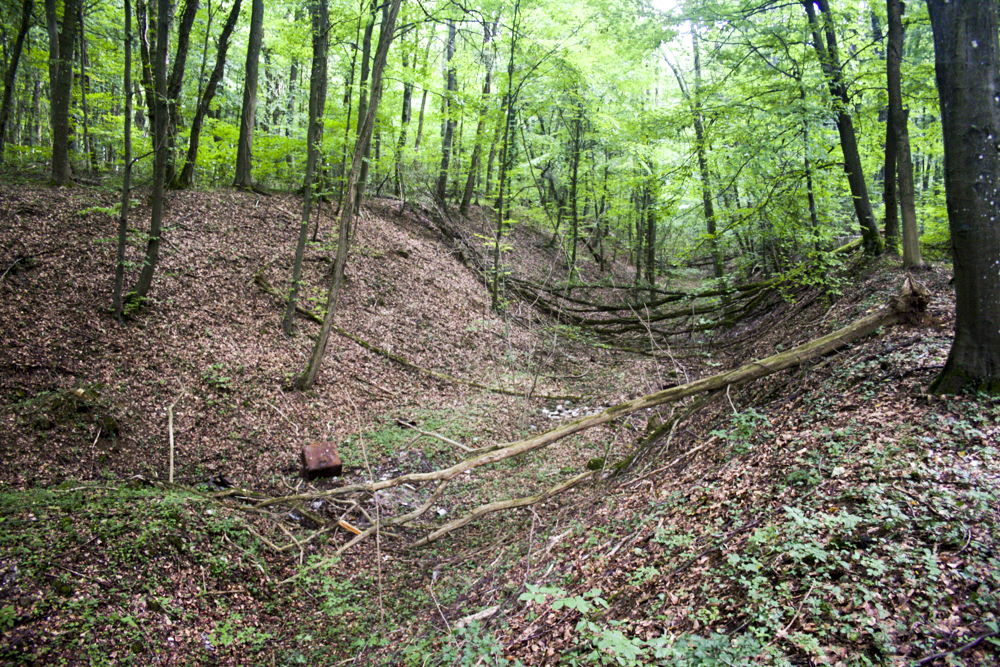 Ligne Maginot - VF60 - ANTENNE DE L'OUVRAGE DE MOLVANGE - (RESEAU - Voie 60 - Antenne ou rocade ferroviaire) - Passage de la voie, derrière les remblais (à droite) de l'Entrée des Munitions de l'ouvrage de Molvange