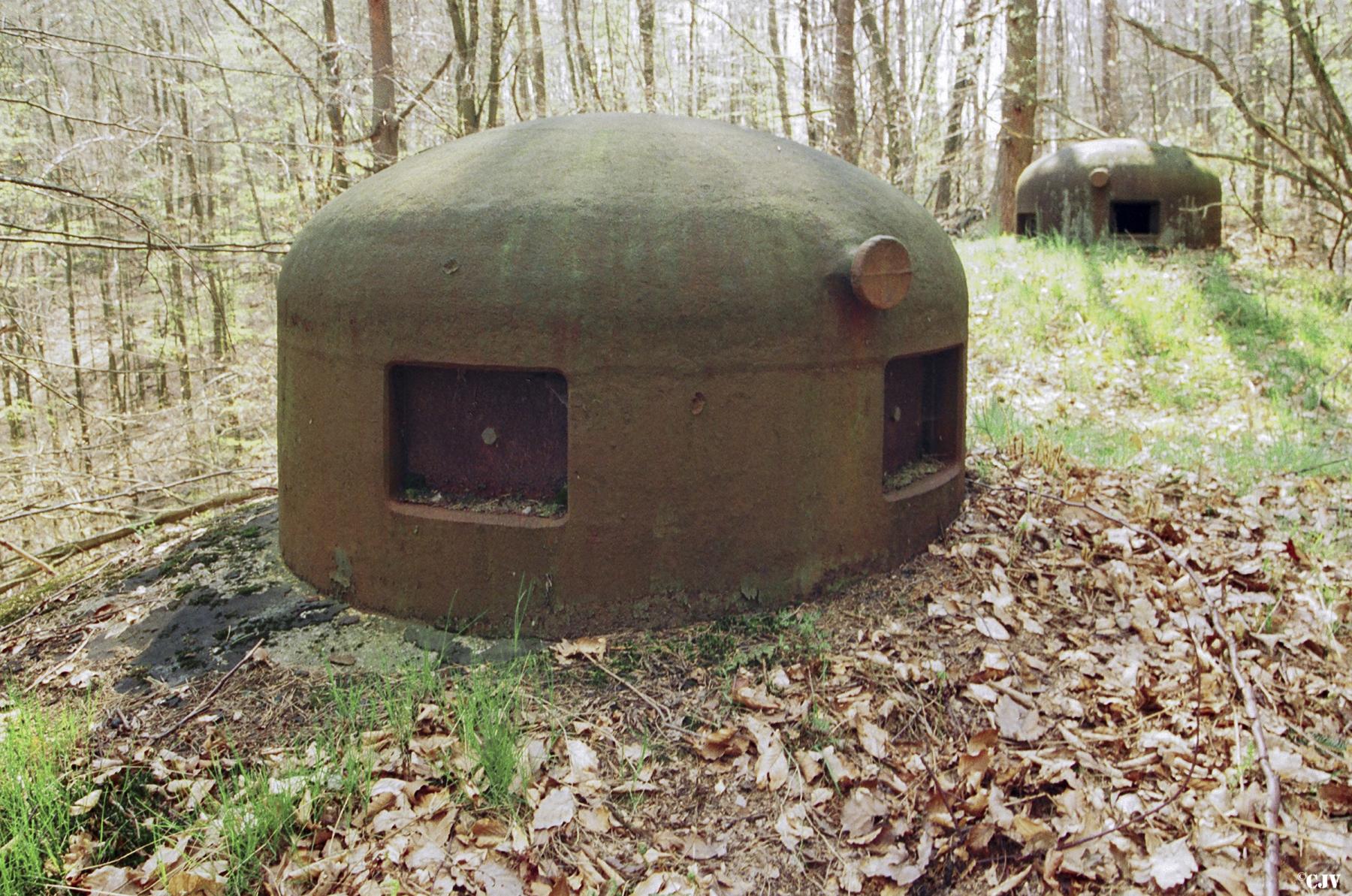 Ligne Maginot - BIESENBERG 5 - (Blockhaus pour arme infanterie) - 