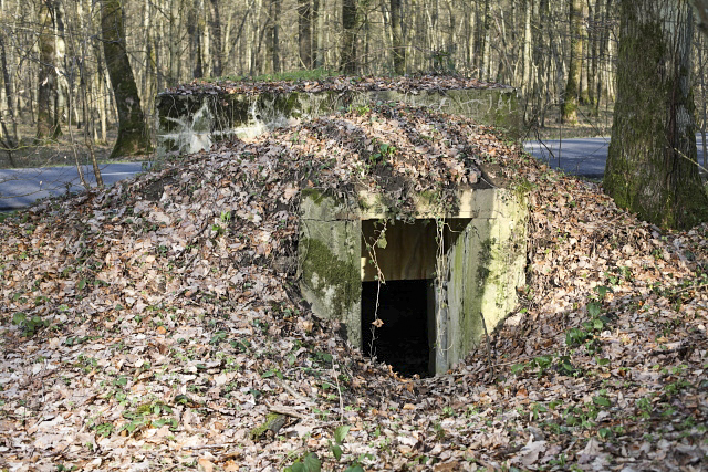 Ligne Maginot - BUSCHWIESE 1 - (Blockhaus pour arme infanterie) - 