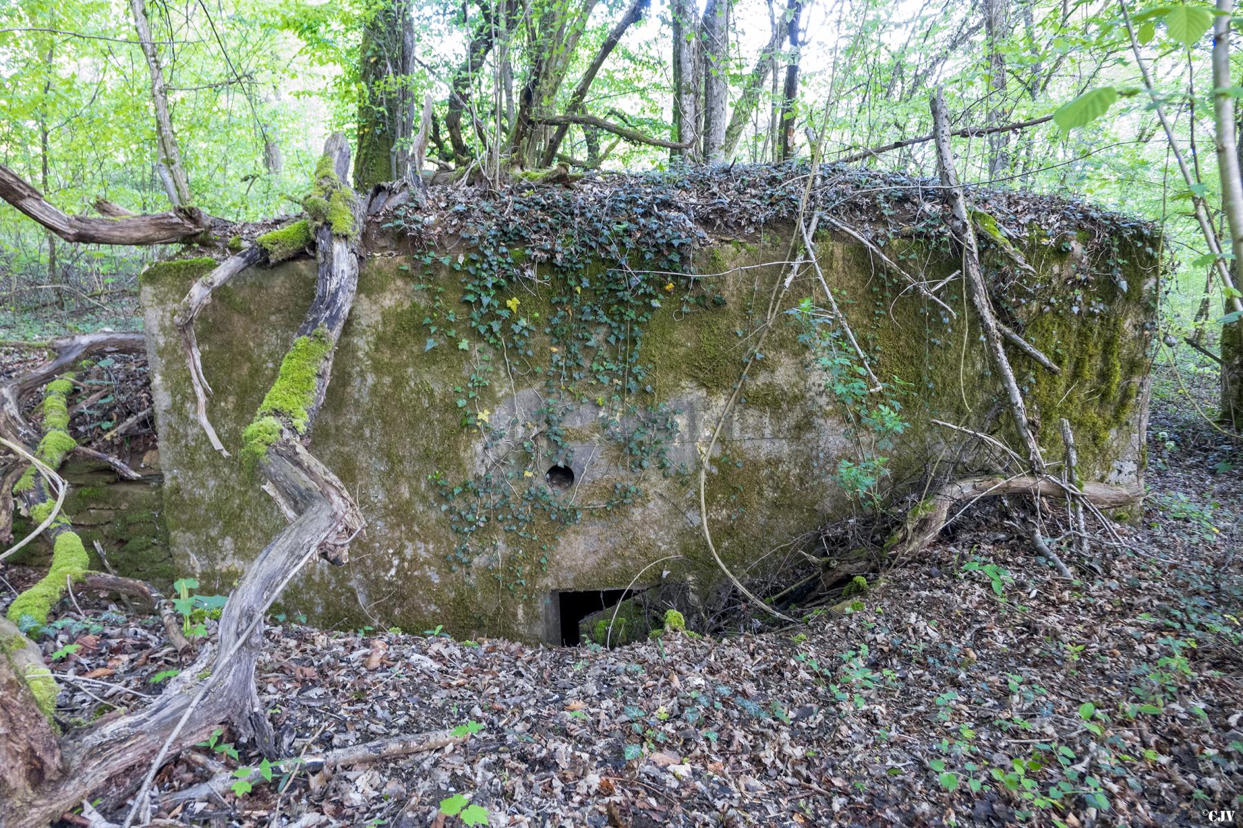 Ligne Maginot - CB335 - BOIS DE LA FANK - (Blockhaus pour arme infanterie) - L'entrée