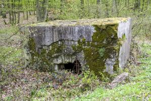 Ligne Maginot - KANFENER BUSCH 1 - (Blockhaus pour arme infanterie) - 