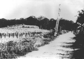 Ligne Maginot - BARRIERE 120 - BOIS KARRE - La route sur les avants du Bois-Karre avec le réseau et la barrière de route n° 120