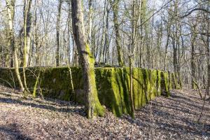 Ligne Maginot - SOETRICH - (Casernement) -            