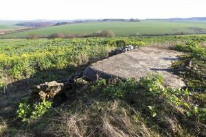 Ligne Maginot - COTE 334 OUEST - (Observatoire d'artillerie) - Etat en 2015.
Le propriétaire du champ s’est lâché......