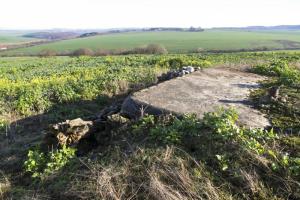 Ligne Maginot - COTE 334 OUEST - (Observatoire d'artillerie) - Etat en 2015.
Le propriétaire du champ s’est lâché......