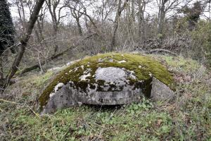 Ligne Maginot - OBERWALD SUD EST - (Blockhaus pour arme infanterie) - 