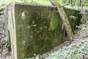 Ligne Maginot - KLOSTERBUSCH 4  Abri - Partie et entrée sud