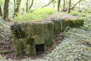 Ligne Maginot - KLOSTERBUSCH 4  Abri - Entrée nord