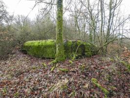 Ligne Maginot - BOIS DE KLANG NORD 4 - (Observatoire d'infanterie) - La façade d'observation avec le créneau au ras du sol.