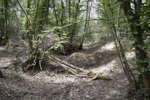 Ligne Maginot - HARDTWALD 3 - (Position d'artillerie préparée) - Emplacement le plus au sud