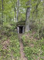 Ligne Maginot - KNOERINGUE EST - (Blockhaus pour arme infanterie) - Vue du chemin