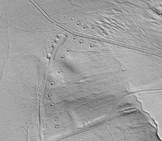 Ligne Maginot - LANGENSOULTZBACH - (Dépôt du Génie) - Vue LIDAR dudit dépôt. Noter le grand nombre d'alvéoles dispersées dans les sous-bois au delà de celles en bordure de piste