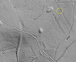 Ligne Maginot - BUCHENHUEBEL - (Abri) - Relevé lidar du bois de Buchenhuebel