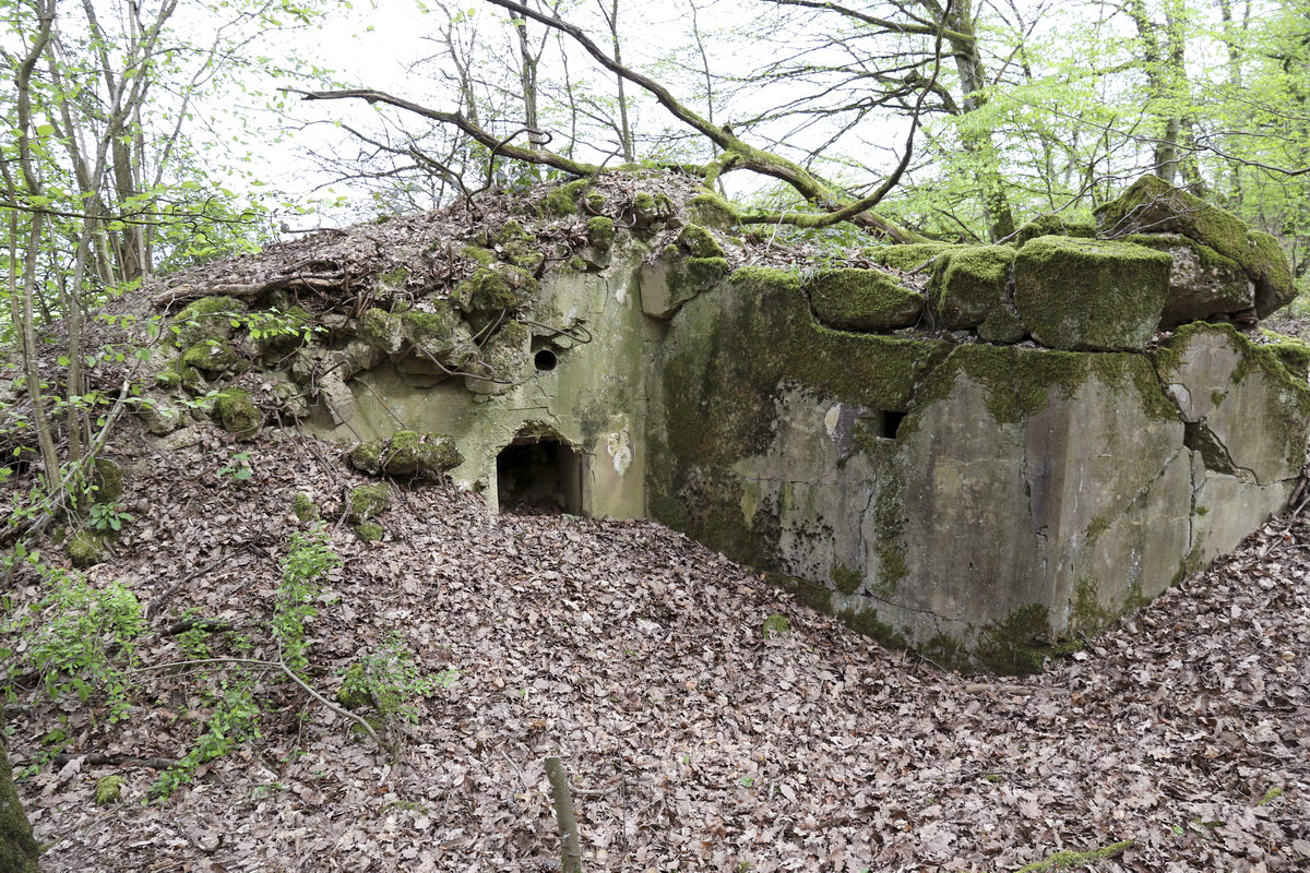 Ligne Maginot - CB237 - STRESSLING 2 - (Blockhaus pour canon) - 