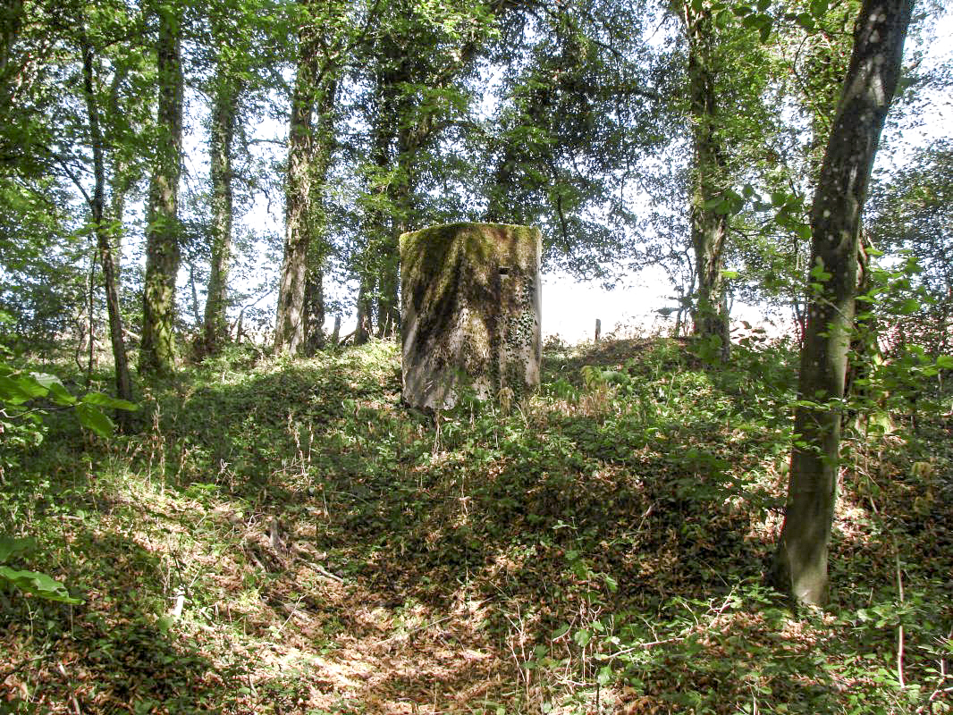 Ligne Maginot - GRESSES WALD - (Observatoire d'infanterie) -   