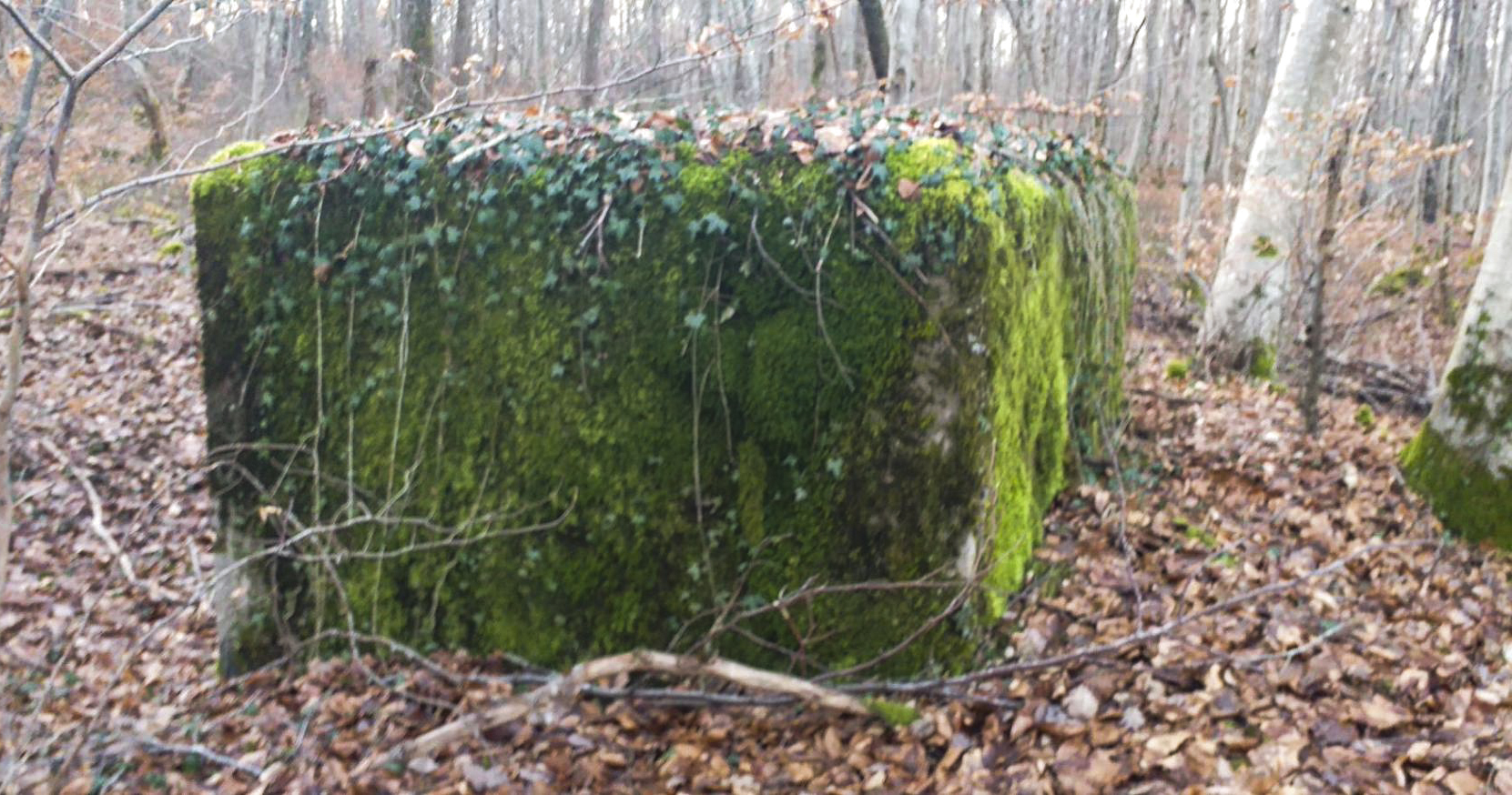 Ligne Maginot - MITTENWALD 5 - (Blockhaus pour arme infanterie) - 