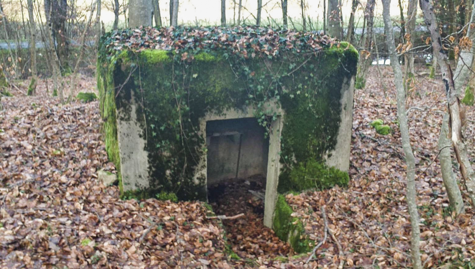 Ligne Maginot - MITTENWALD 5 - (Blockhaus pour arme infanterie) - 