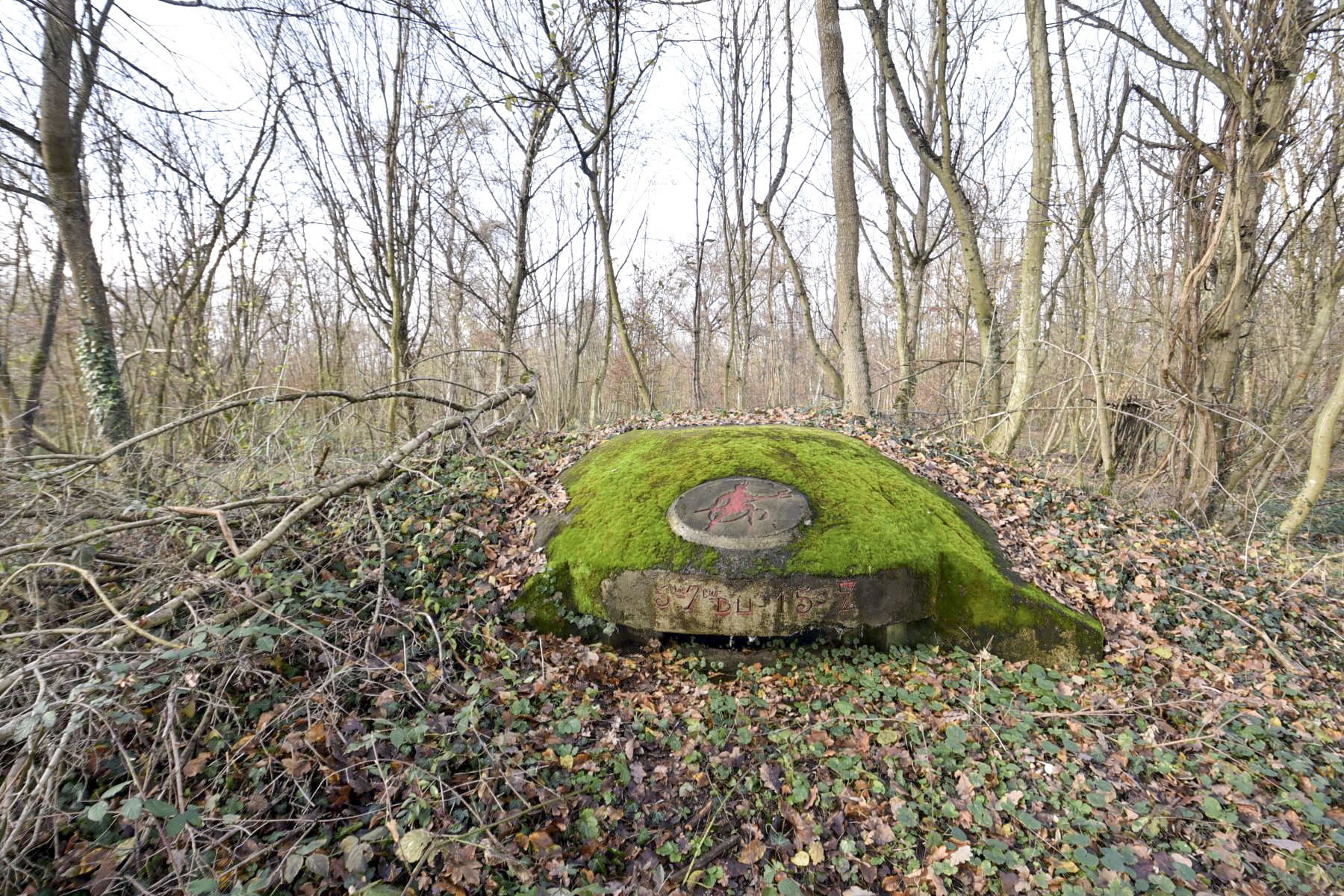 Ligne Maginot - OBERWALD EST NORD - (Blockhaus pour arme infanterie) - 