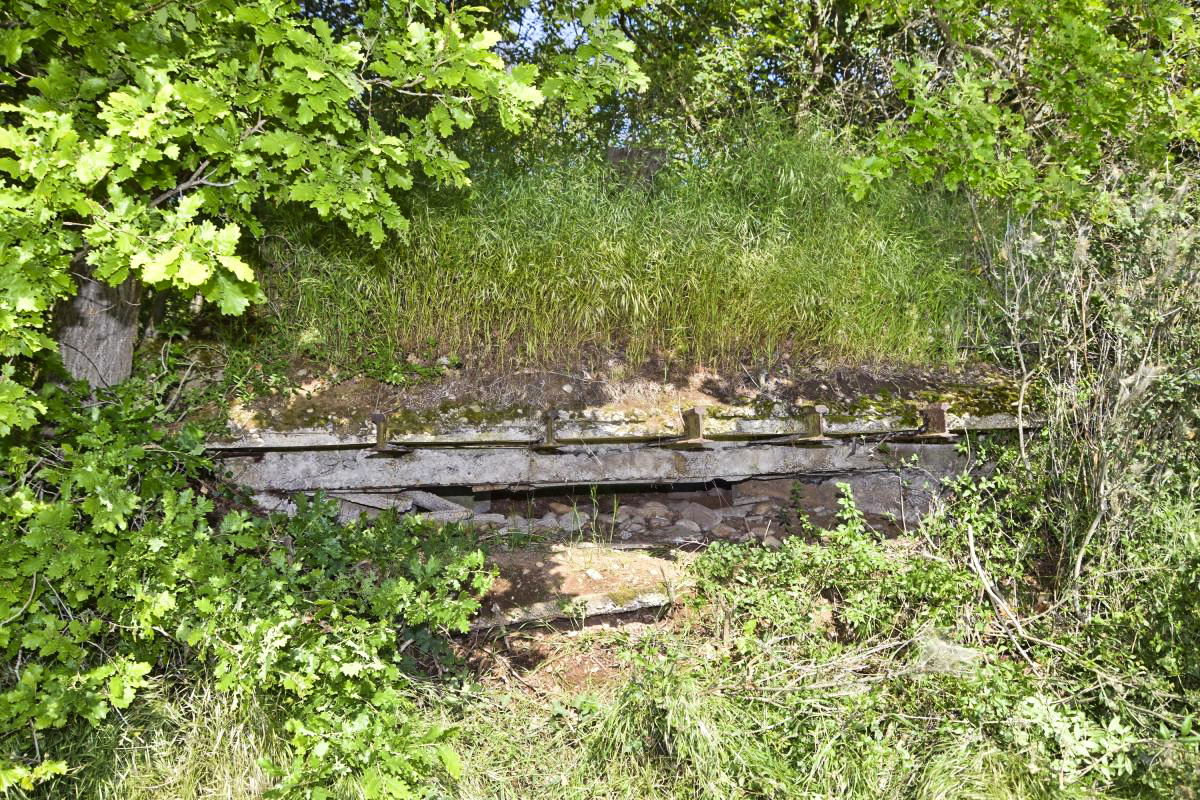 Ligne Maginot - OBERWALD SUD OUEST - (Observatoire d'infanterie) - Créneau d'observation ouest