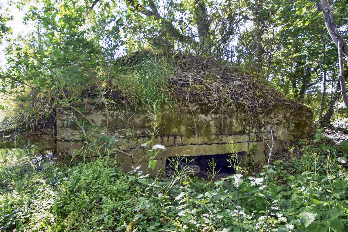 Ligne Maginot - OBERWALD SUD OUEST - (Observatoire d'infanterie) - Entrée : coté Est