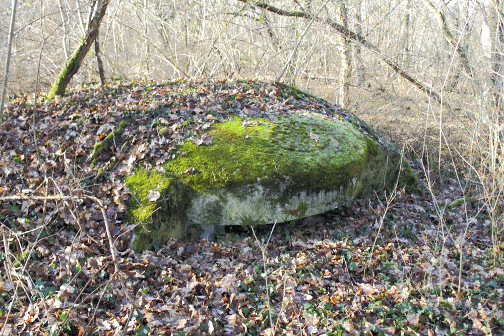 Ligne Maginot - OBERWALD SUD NORD-EST - (Blockhaus pour arme infanterie) - Vue générale extérieure