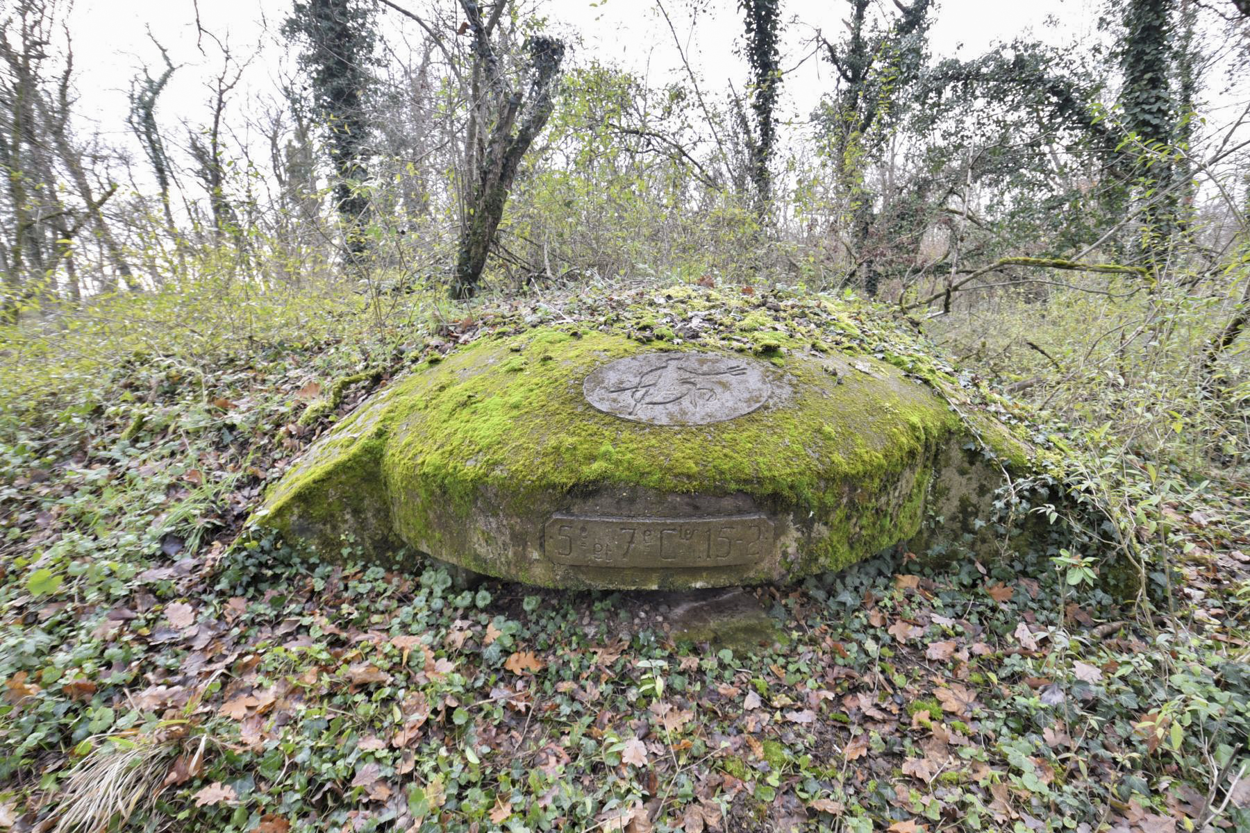 Ligne Maginot - OBERWALD SUD NORD-EST - (Blockhaus pour arme infanterie) - 