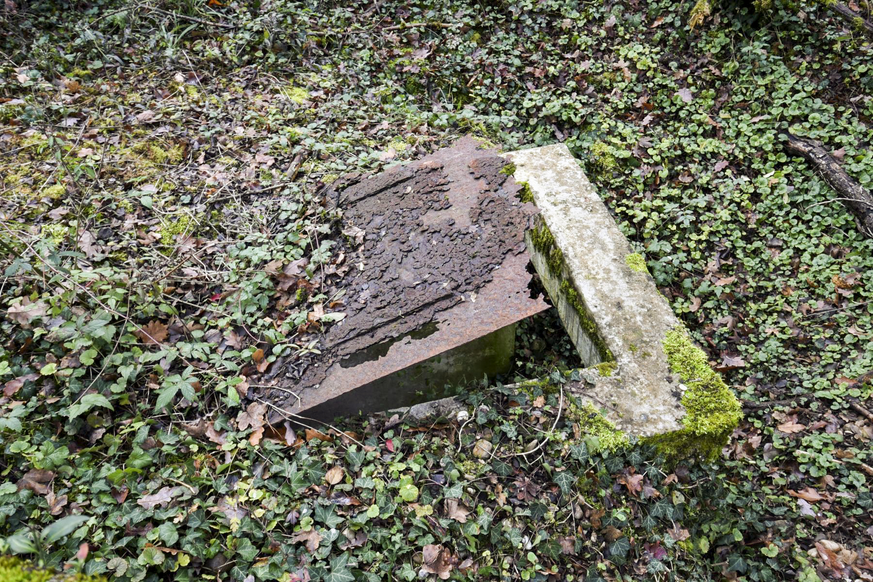 Ligne Maginot - OBERWALD SUD NORD-EST - (Blockhaus pour arme infanterie) - 